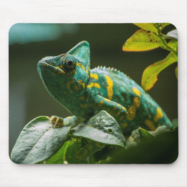 Green Chameleon Mouse Pad (Front)
