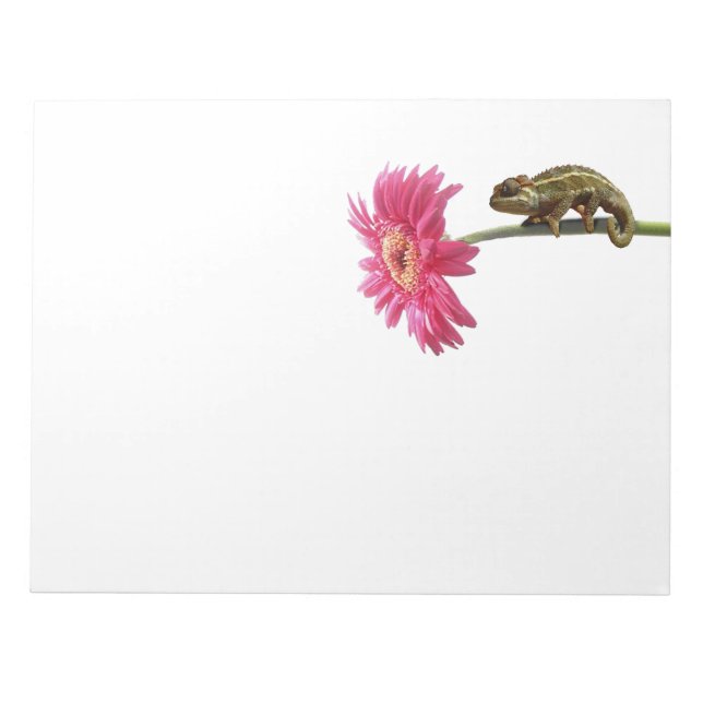 Green chameleon on pink flower notepad (Front)
