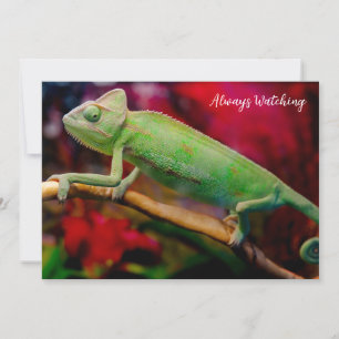 Green chameleon on the branch invitation