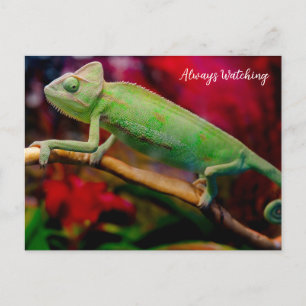 Green chameleon on the branch postcard