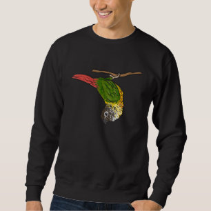 Green Cheek Conure Parrot Bird Conure Sweatshirt