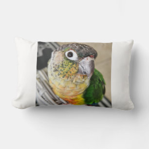 Green Cheek Conure Parrot Lumbar Cushion