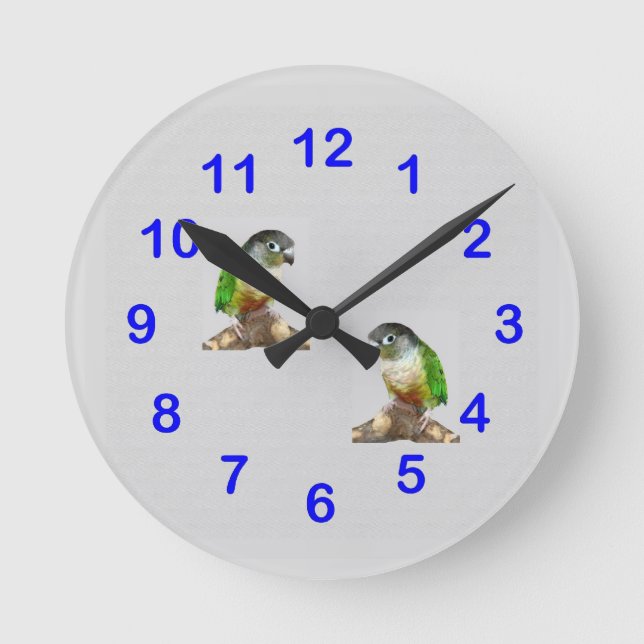 Green Cheek Conure Wall Clock (Front)
