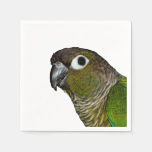 Green Cheeked Conure Napkin