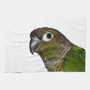 Green Cheeked Conure Tea Towel