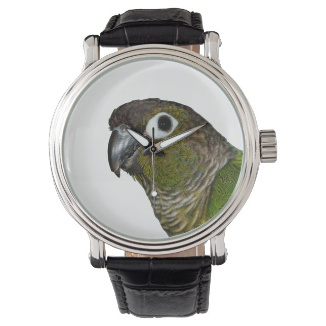 Green Cheeked Conure Watch (Front)