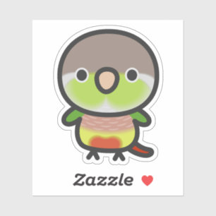 Green-cheeked parakeet / Pineapple