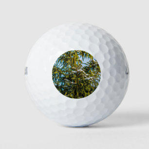 Green Christmas Tree In Snow Golf Balls