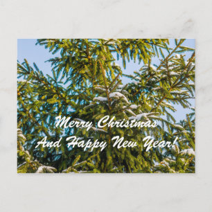 Green Christmas Tree In Snow Holiday Postcard