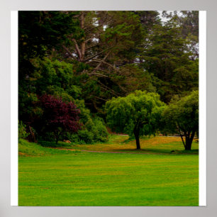 Green Clearing Poster