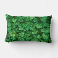 Green Clover Leaves with Water Drops