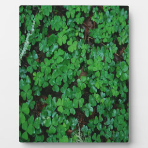 Green Clover Plaque