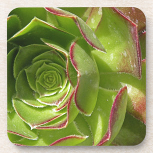 Green Coaster