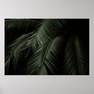 GREEN COCONUT TREE PHOTO POSTER