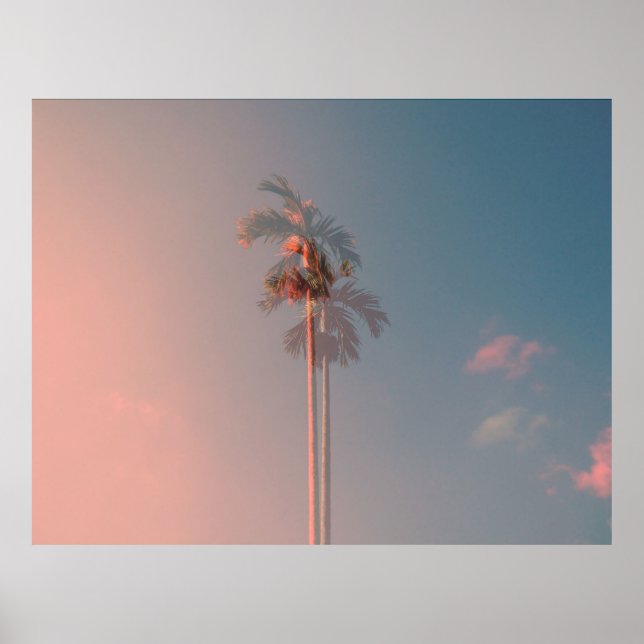 Green coconut tree poster (Front)