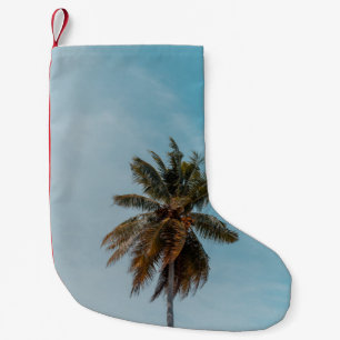 Green coconut tree under blue sky small christmas stocking