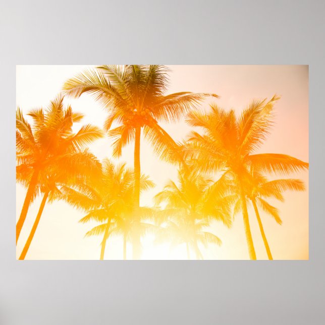 Green coconut trees poster (Front)