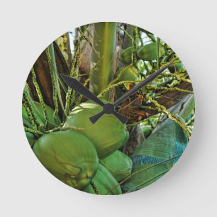 Green Coconuts Island Palm Tree Round Clock