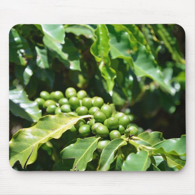 Green Coffee Berries Mouse Pad (Front)