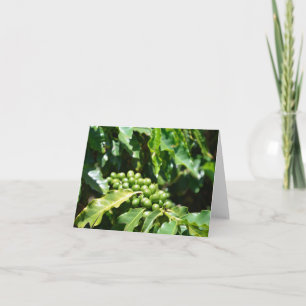 Green Coffee Berries Note Card