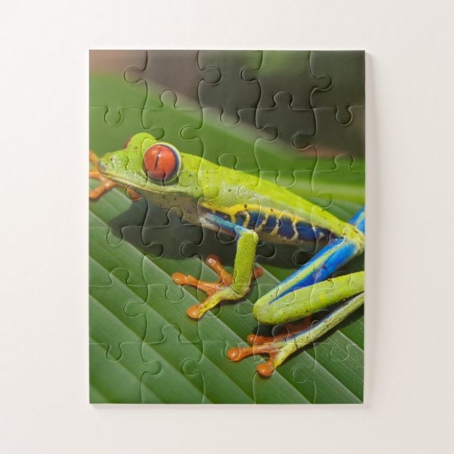 Green Colorful Jungle Tree Frog Jigsaw Puzzle (Vertical)