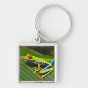 Green Colorful Jungle Tree Frog Key Ring