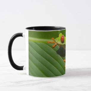 Green Colorful Jungle Tree Frog Mug