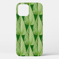 Green colour of leaves