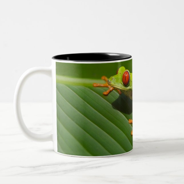 Green Colourful Jungle Tree Frog Two-Tone Coffee Mug (Left)