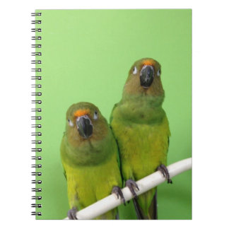 Green Conure Note Book