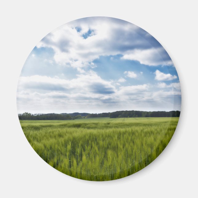 Green Cornfields and Blue Skies Magnet (Front)