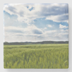 Green Cornfields and Blue Skies Stone Coaster