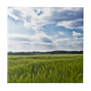 Green Cornfields and Blue Skies Tile