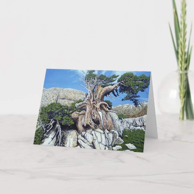 Green Creek Tree Card (Front)