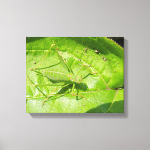 Green Cricket Camouflage Canvas Print