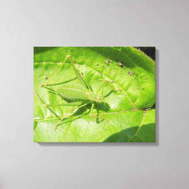 Green Cricket Camouflage Canvas Print (Front)