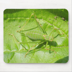 Green Cricket Camouflage Mousepad