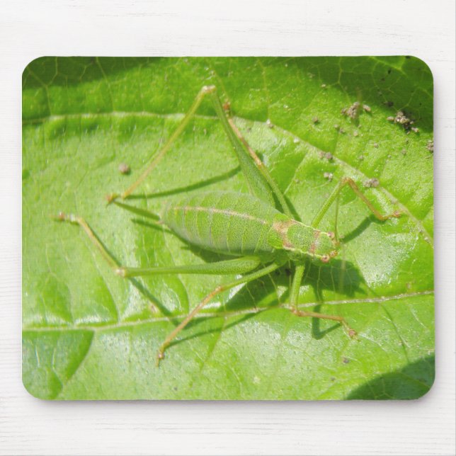 Green Cricket Camouflage Mousepad (Front)