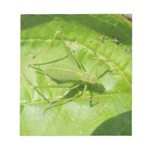 Green Cricket Camouflage Notepad