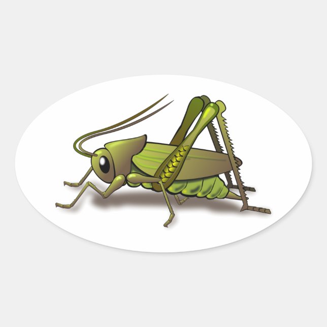 Green Cricket Insect Oval Sticker (Front)