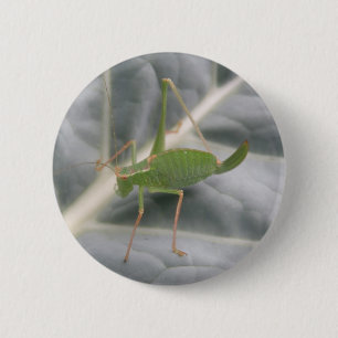Green Cricket Macro Button