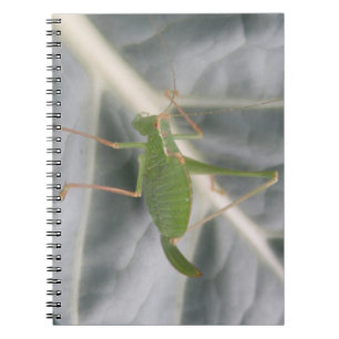 Green Cricket Macro Notebook