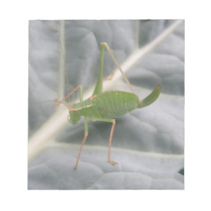 Green Cricket Macro Notepad