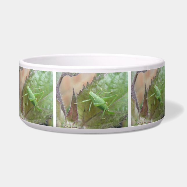 Green Cricket on a Leaf Dog Bowl (Front)