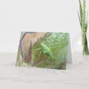Green Cricket on a Leaf Greeting Card