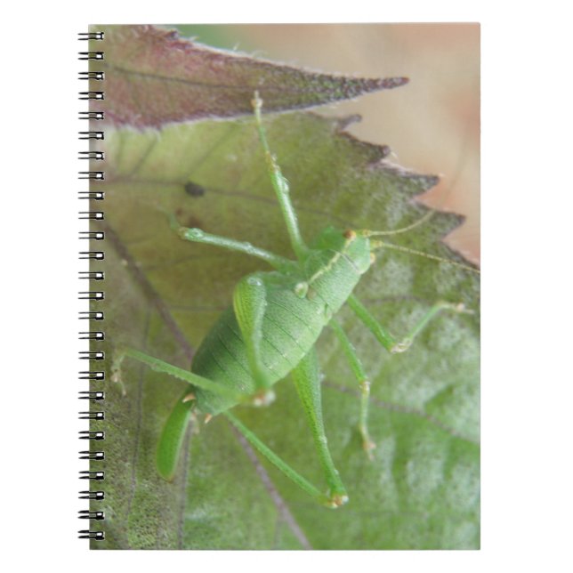 Green Cricket on a Leaf Notebook (Front)