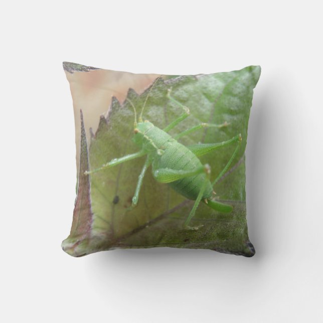 Green Cricket on a Leaf Pillow (Front)