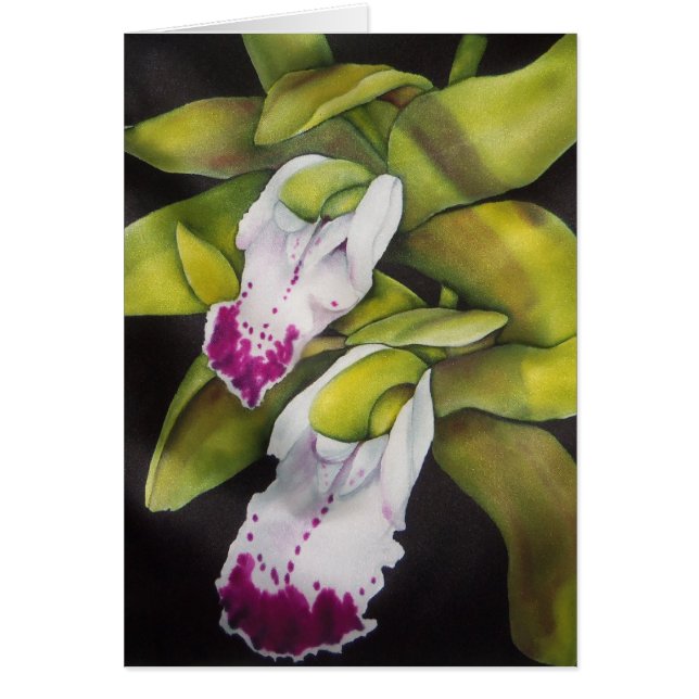 Green Cymbidium Orchid (Front)