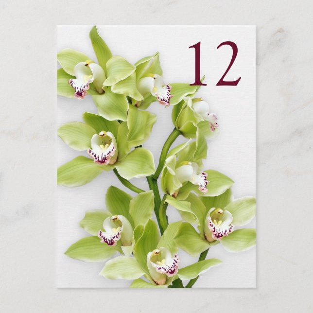 Green Cymbidium Orchid Floral Wedding Table Cards (Front)