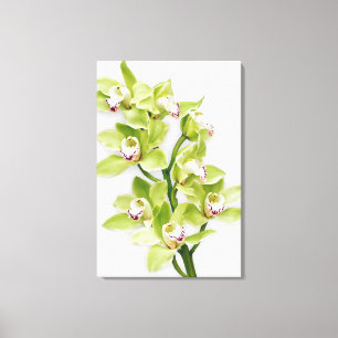 Green Cymbidium Orchid Flower Wrapped Canvas Print